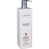 L'Anza Healing ColorCare