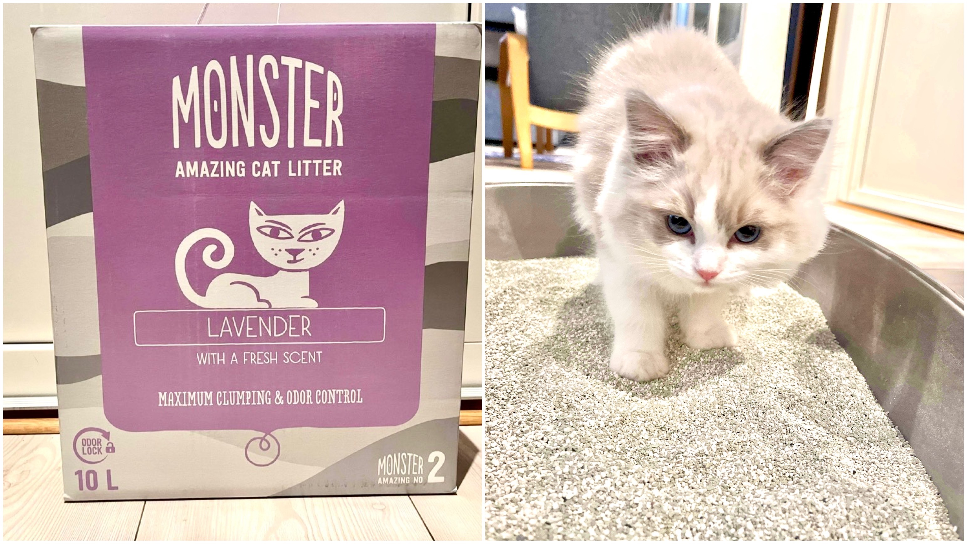Monster Lavender