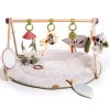 Tiny Love Boho Chic Babygym